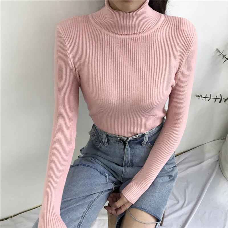 Turtleneck Sweater