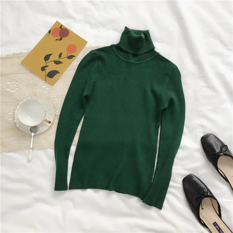Turtleneck Sweater