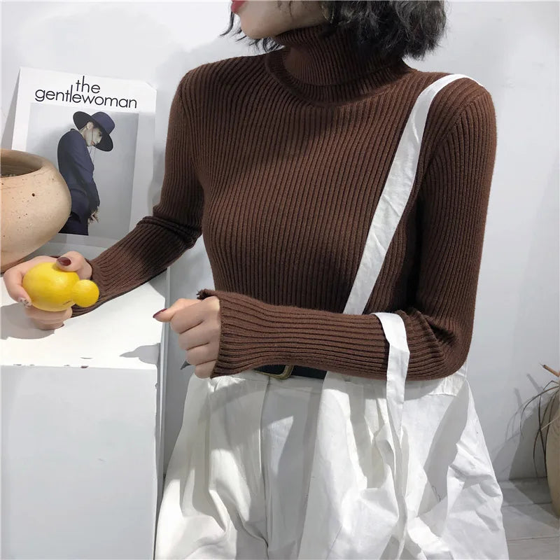 Turtleneck Sweater