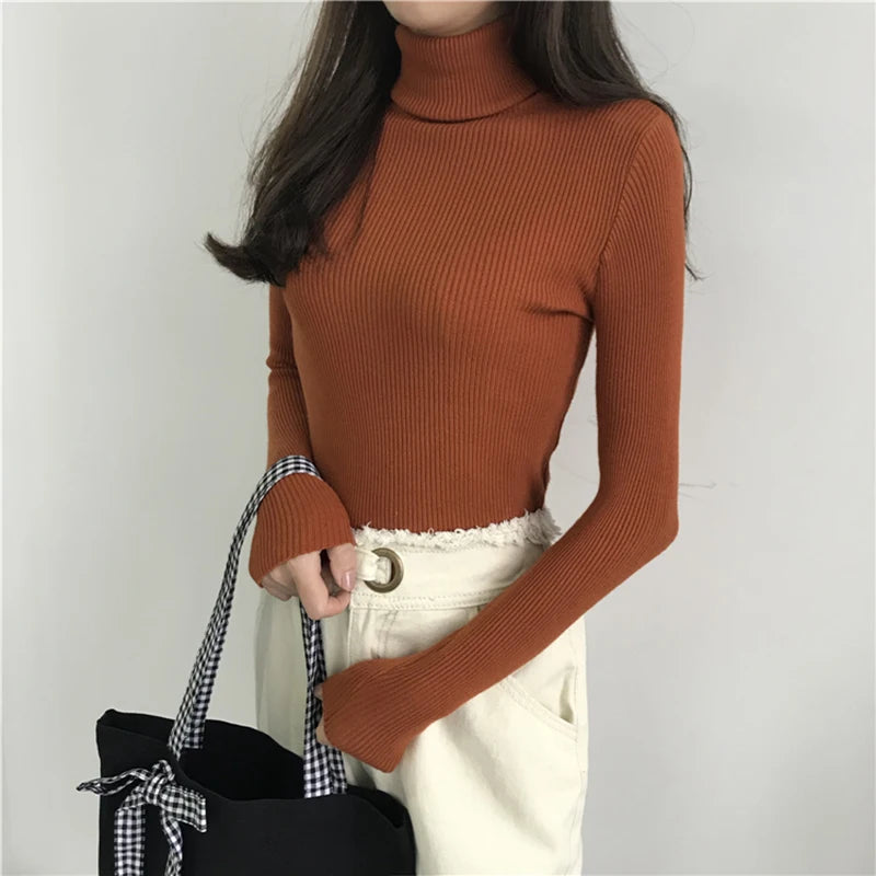 Turtleneck Sweater