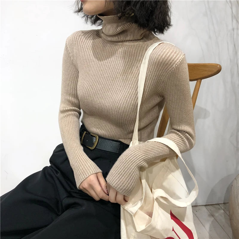 Turtleneck Sweater
