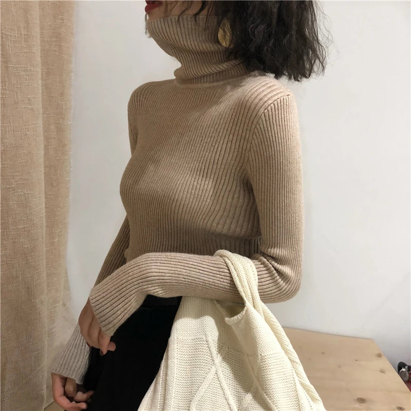 Turtleneck Sweater