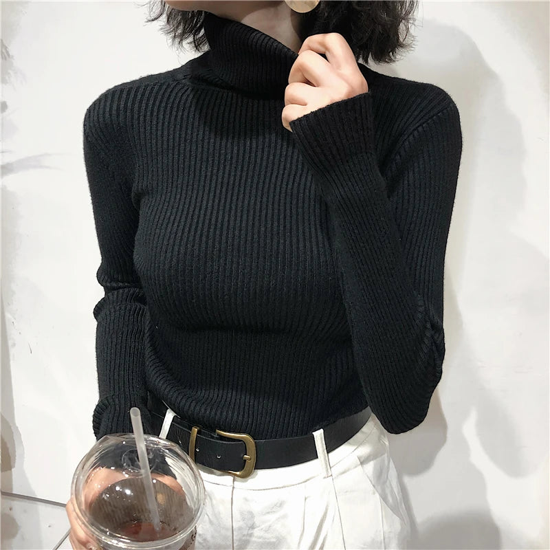 Turtleneck Sweater