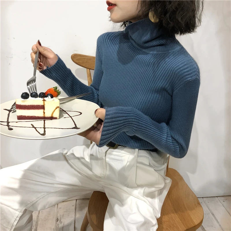 Turtleneck Sweater