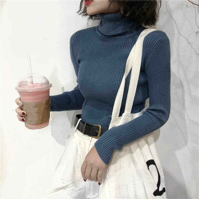 Turtleneck Sweater