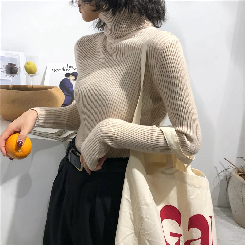 Turtleneck Sweater