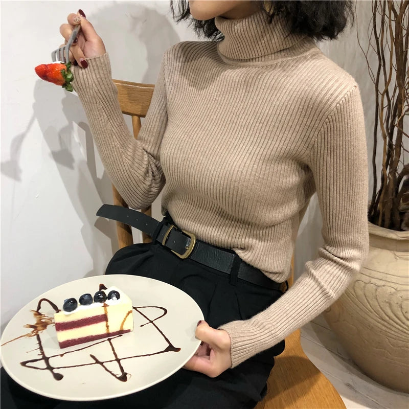 Turtleneck Sweater
