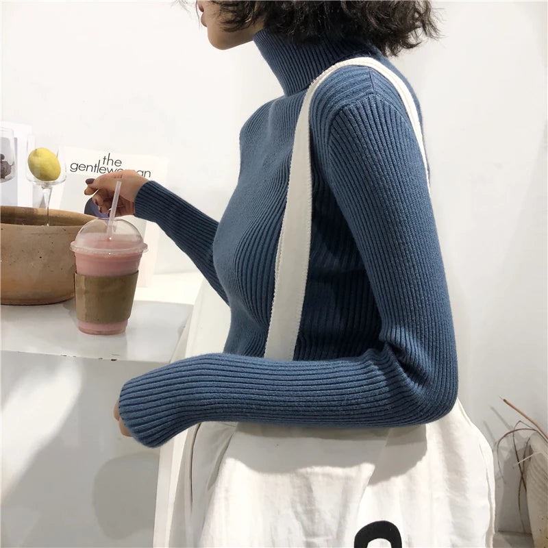 Turtleneck Sweater