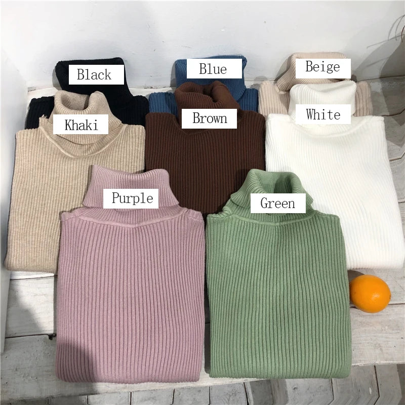 Turtleneck Sweater