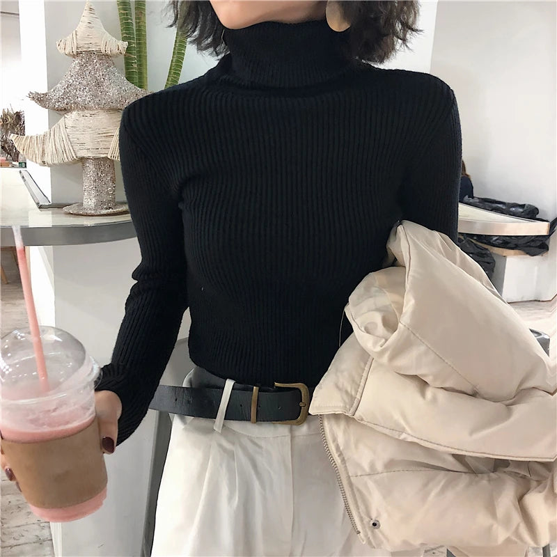 Turtleneck Sweater