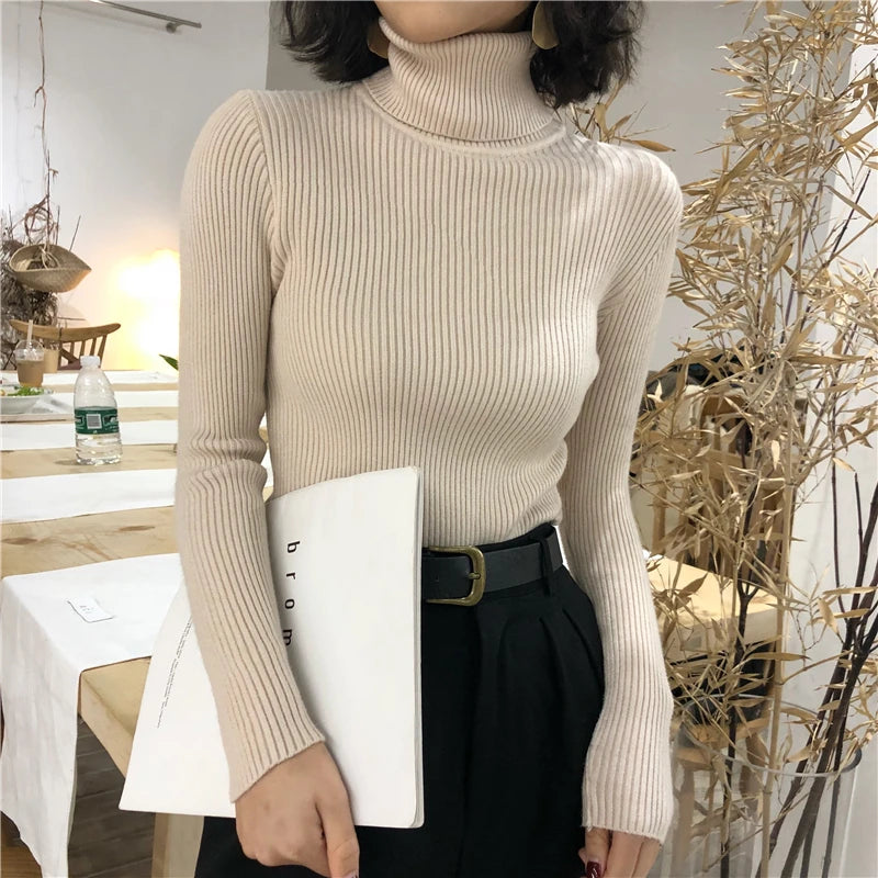 Turtleneck Sweater