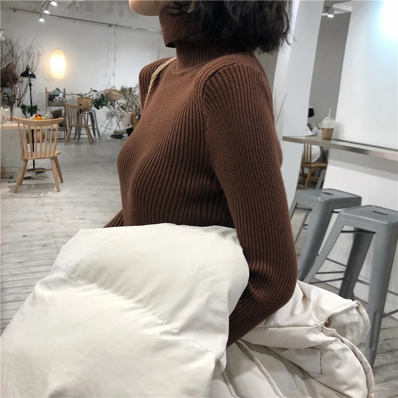 Turtleneck Sweater