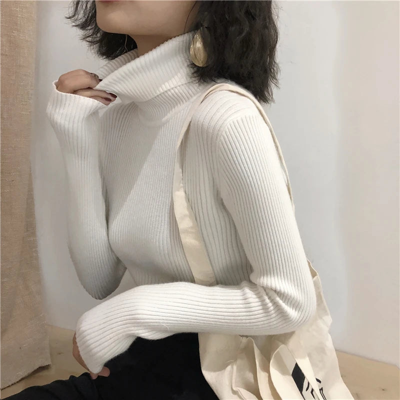 Turtleneck Sweater