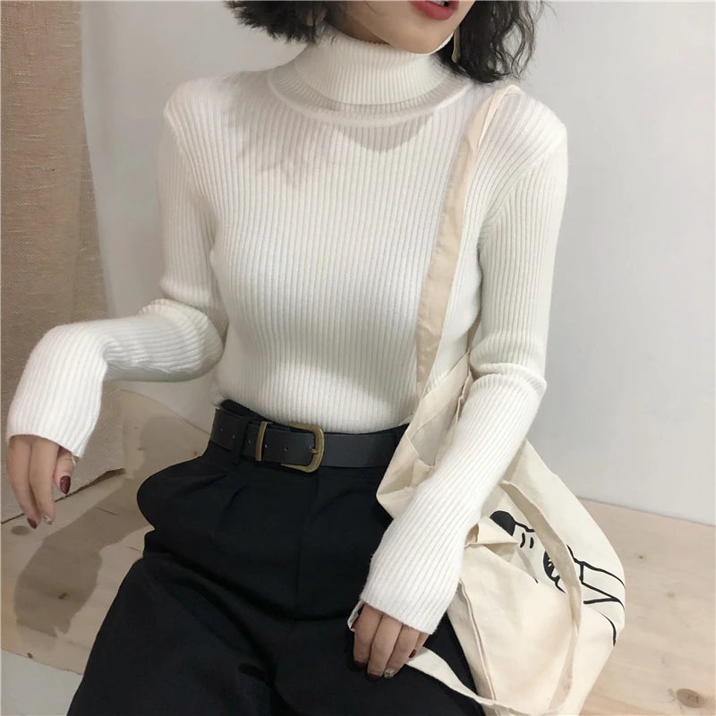 Turtleneck Sweater