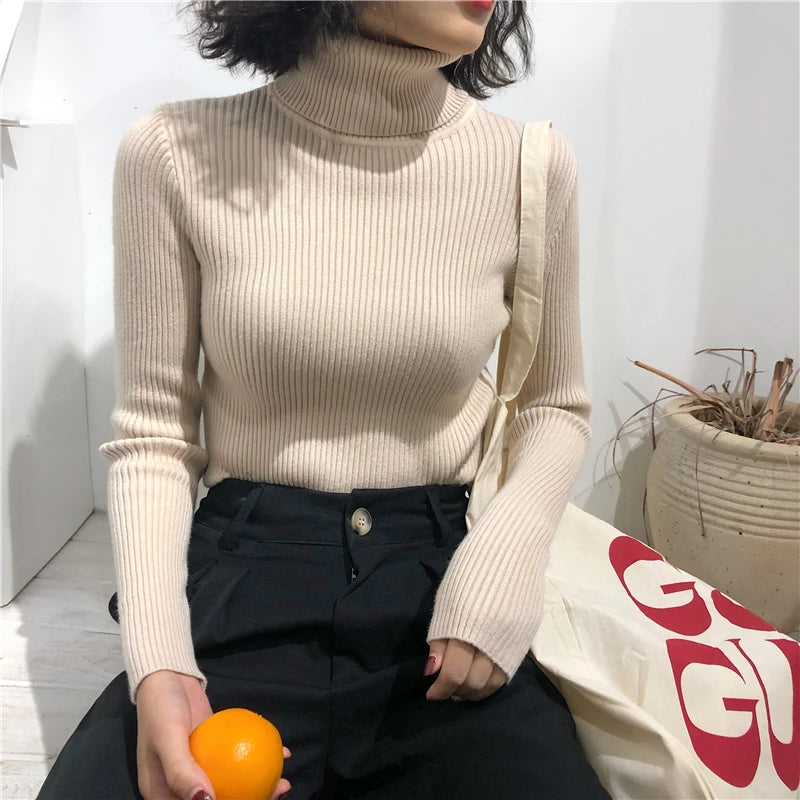 Turtleneck Sweater
