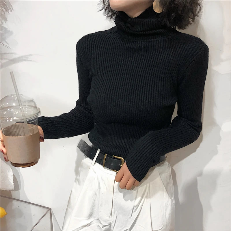 Turtleneck Sweater