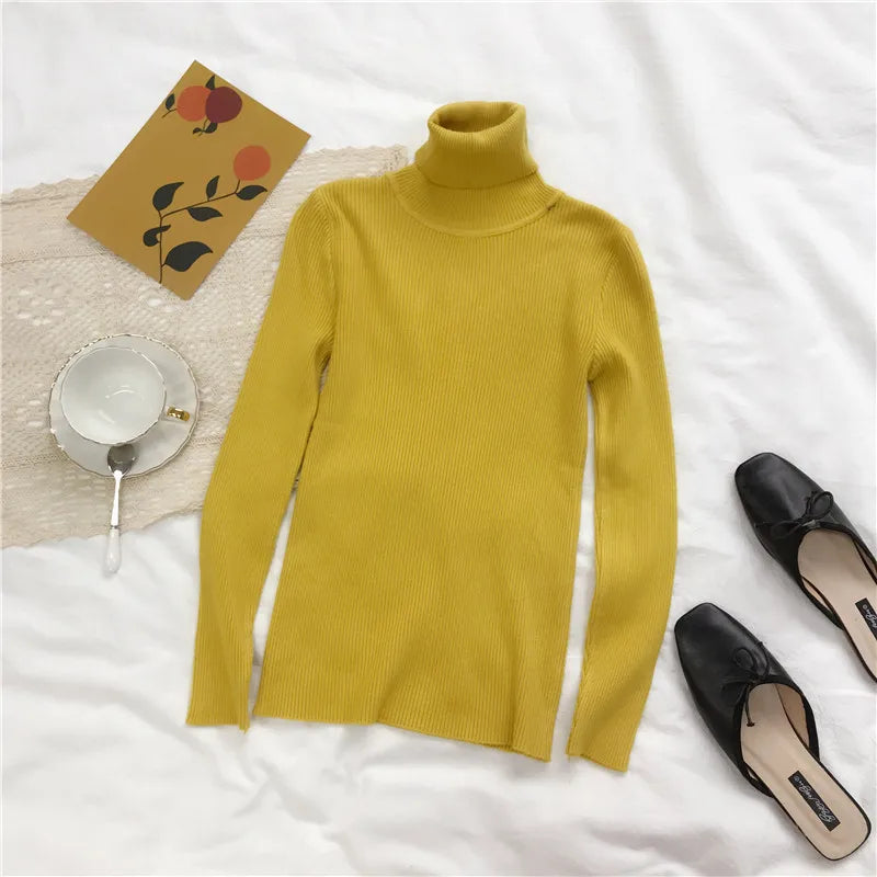 Turtleneck Sweater
