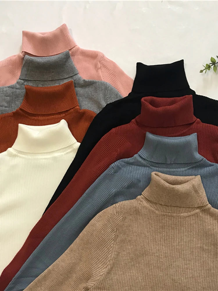 Turtleneck Sweater
