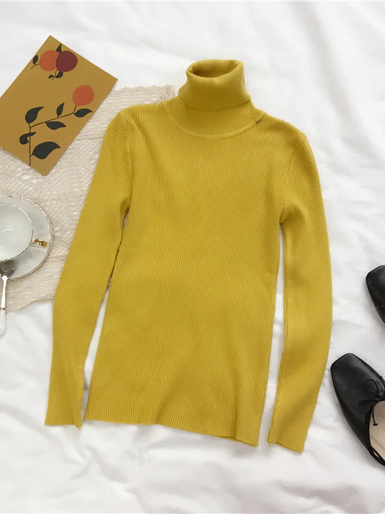 Turtleneck Sweater